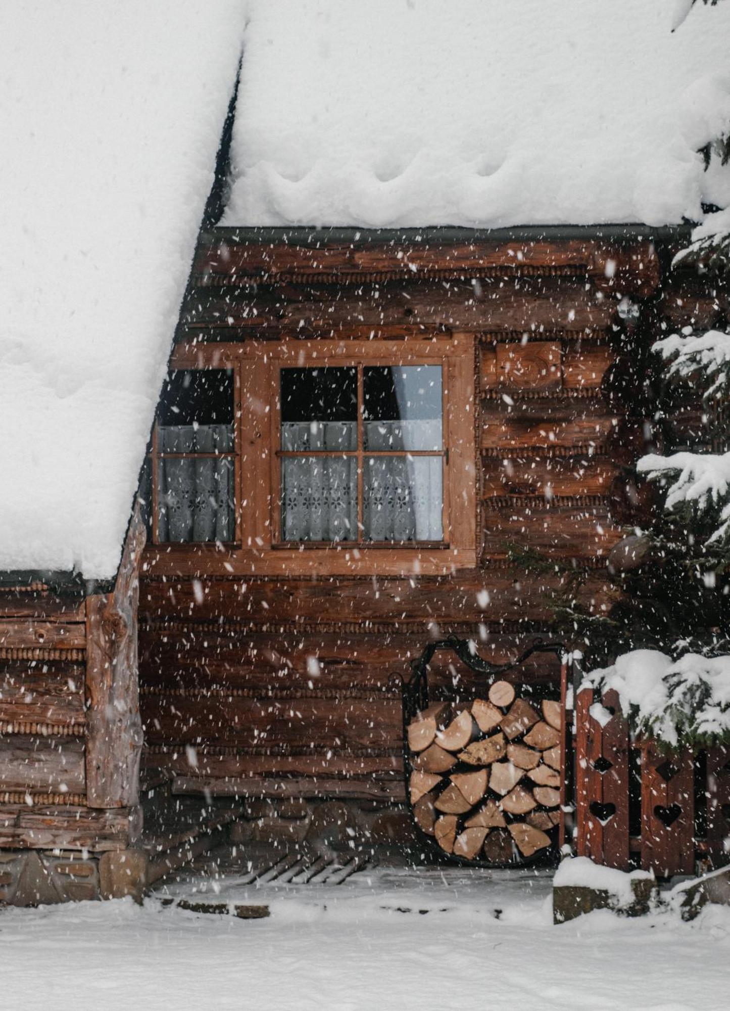 Domki Javorina Villa Zakopane Exterior photo