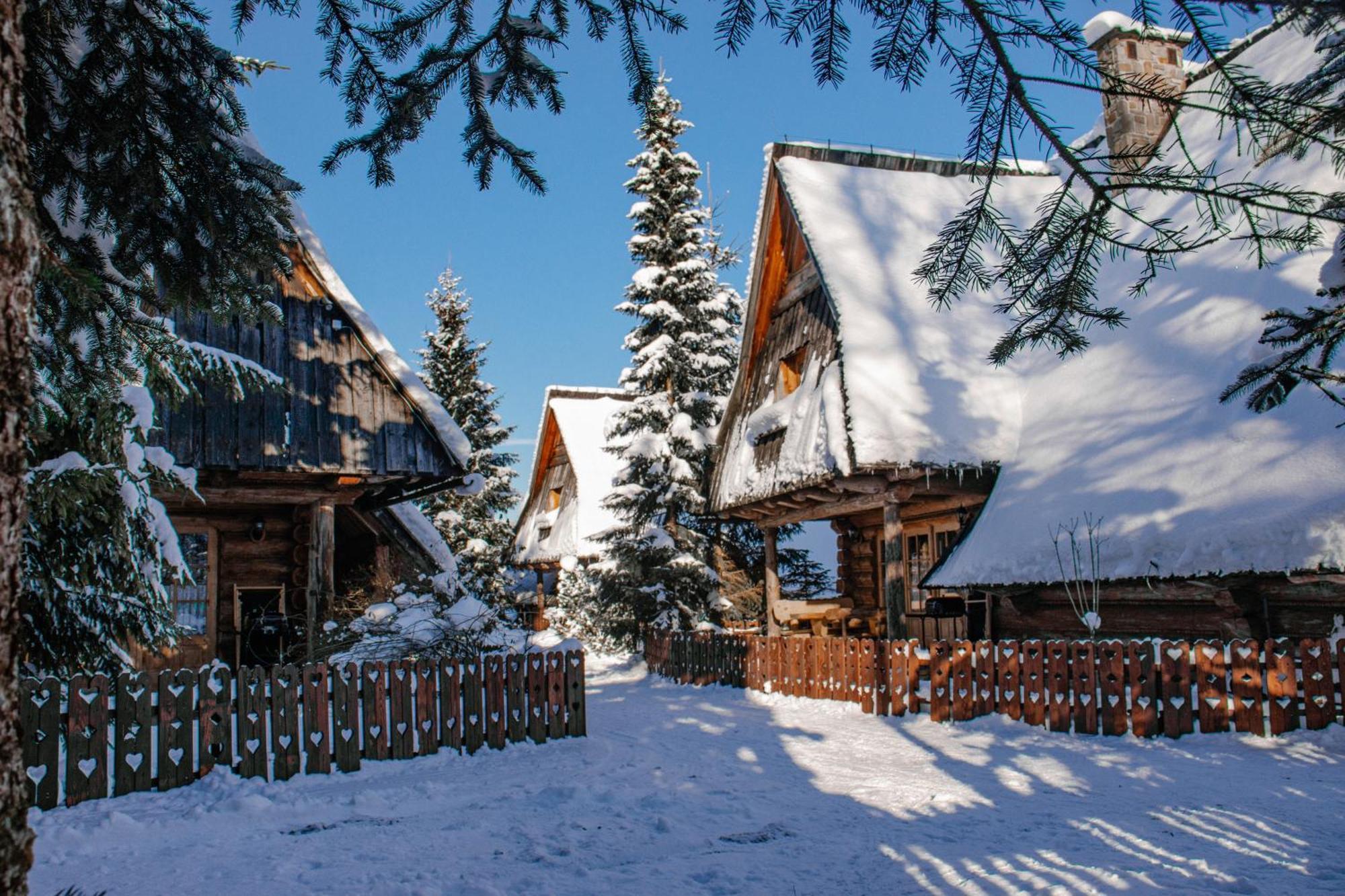 Domki Javorina Villa Zakopane Exterior photo